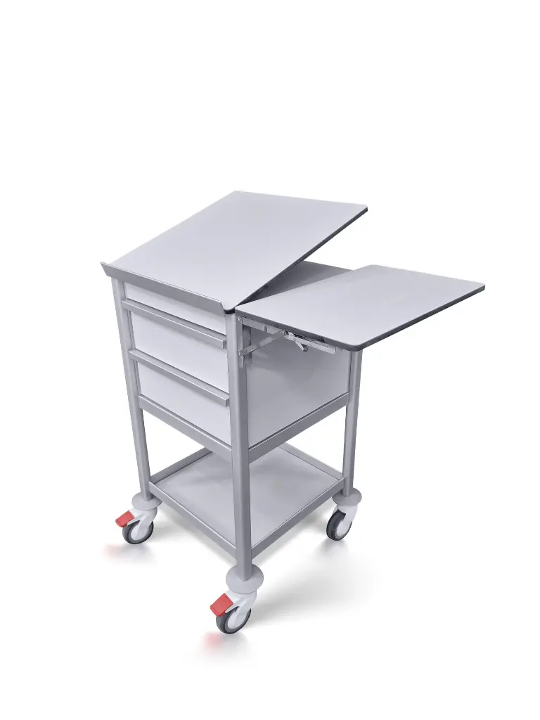 EB-5353-2M-TT-RF angle slight up.webp