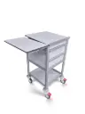 End of Bed Chart Trolley, 530W, 530D, 950Hmm, 2 Drawers, 1 Shelf, Tilt Top