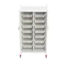 Mobile Storage 980W, 680D, 1850Hmm, side panels, Ray 14M