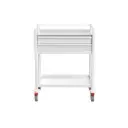 Multi-purpose Trolley, 780W, 480D, 975H mm 2 Drawers, 1 Shelf