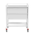 Multi-purpose Medical Trolley, 780W, 480D, 2 Drawers, 1 Shelf