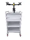 Specialist Trolley, 640W, 530D, 1079Hmm, 2 Drawers (M)