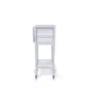 Multi-purpose Medical Trolley, 400W, 400D, 1100H mm, 2 Drawers (2M), 1 Shelf, Flat top 
