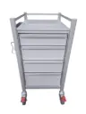 Multi-purpose Trolley, 460W x 580D x 900H mm - 4 drawers (1S,2M,1L)