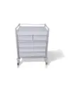 Multi-purpose Medical Trolley, 780W, 480D, 1000Hmm, 5 drawers (2Mss, 3M), pull-right slide