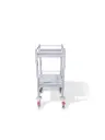 Tasman Dressing Trolley, 480W, 380D, 975Hmm 2 Shelf