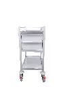 Dental Trolley, 430W, 580D, 975H mm, 2 drawers, clean white