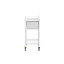 Multi-purpose Medical Trolley - 430W, 430D, 975Hmm, 2 Drawer, 1 Shelf
