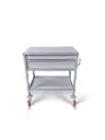 End of Bed Chart Trolley, 780W, 480D, 900Hmm, 1 Drawer, Tilt Top