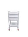 Multi-purpose Medical Trolley, 580W, 430D, 975Hmm, 2 Drawer, 1 Shelf