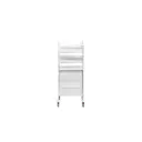 Medical Equipment Trolley, 630W, 580D,1500Hmm, 4 drawers (2S, 2L)